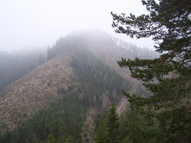 Salcherkogel